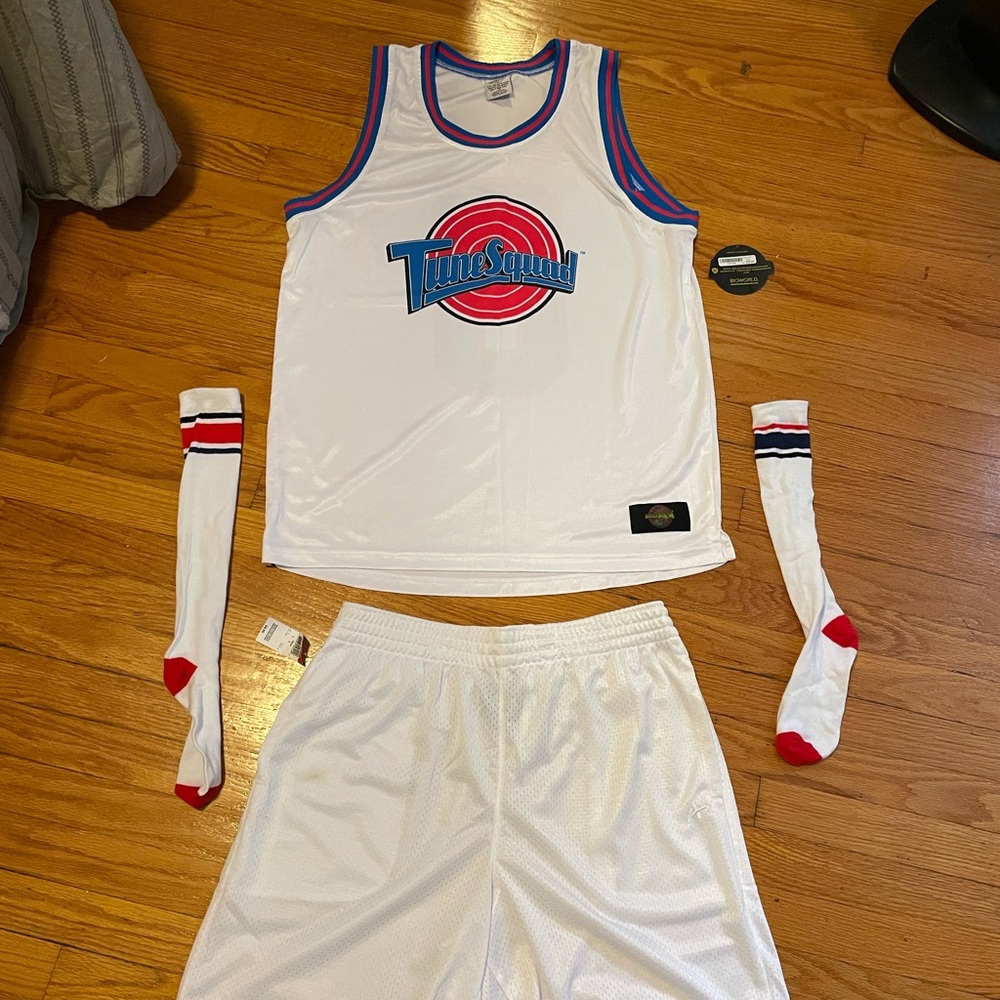 Men’s tune squad costume
